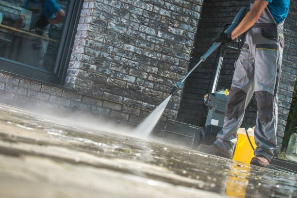 Best House Exterior Washing  in Forsyth, IL